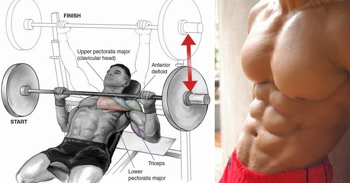 Building Muscle Mass After Building Muscle Mass After