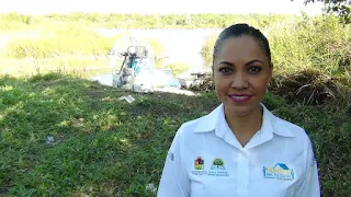 Alejandra Aguirre Crespo, Secretaria de Salud de Quintana Roo