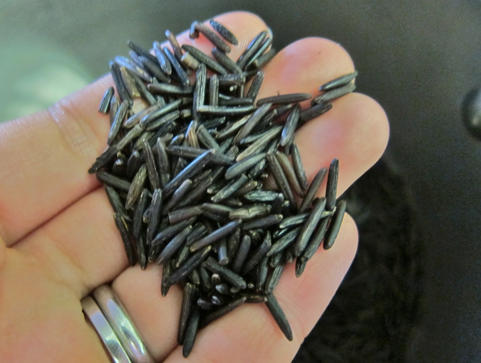 The Vegan Chronicle Wild RiceandQuinoa Garden Salad