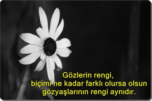 Eskimeyen Anlamlı Güzel Sözler Eskimeyen Anlamlı Güzel Sözler