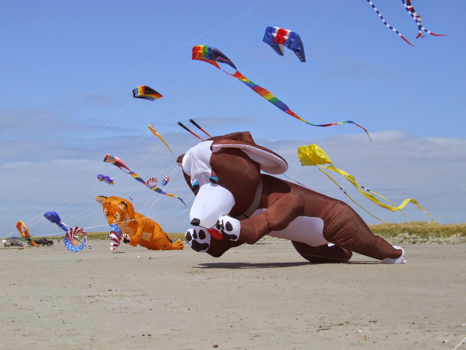 Tako Kichi (Kite Crazy) Is a Kite Festival on YOUR bucketlist?
