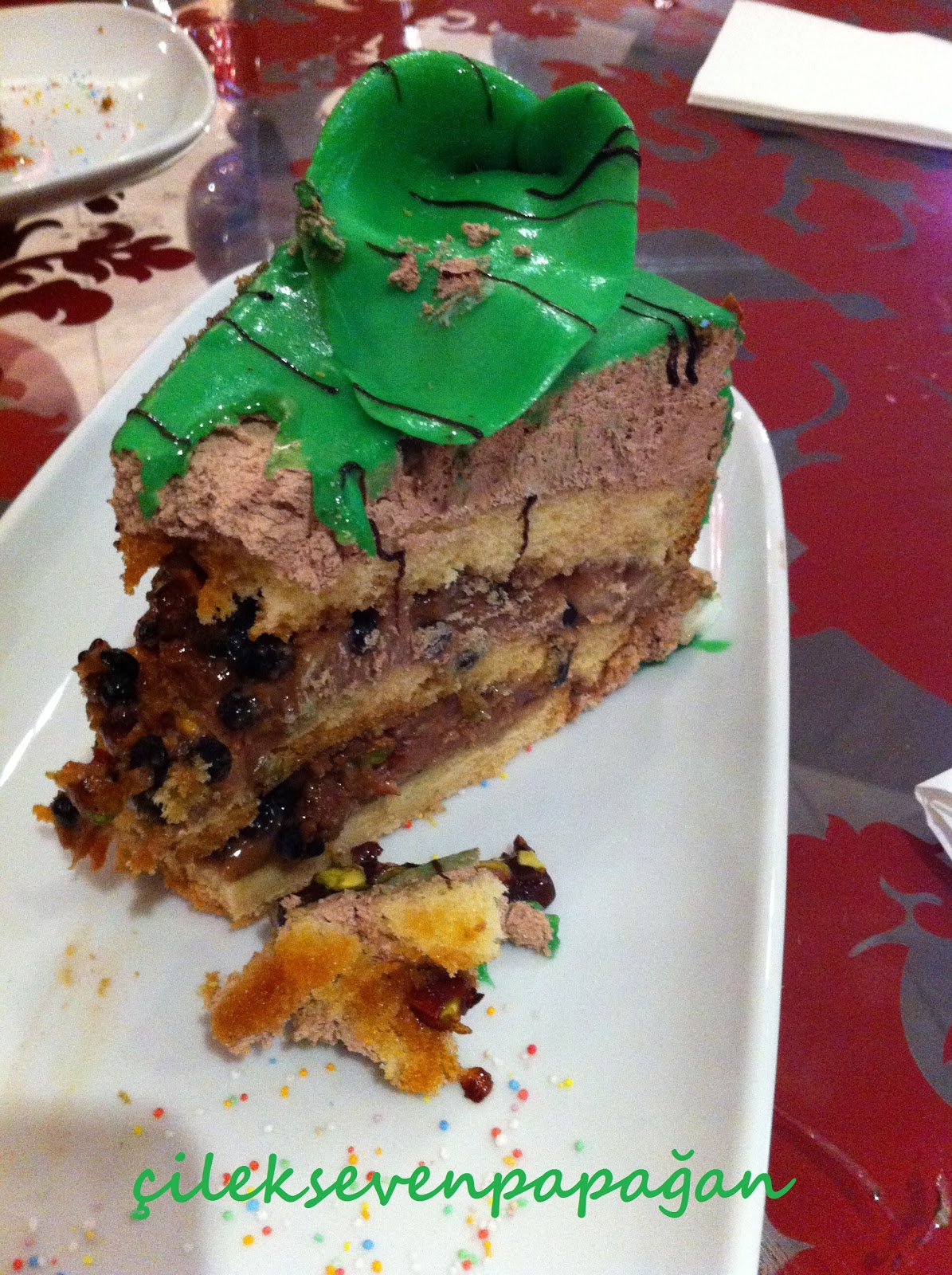 Çilek Seven Papağan Ocak 2013