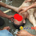 Siswa SMK ini Tewas Tenggelam saat berenang di Pantai Muara Indah