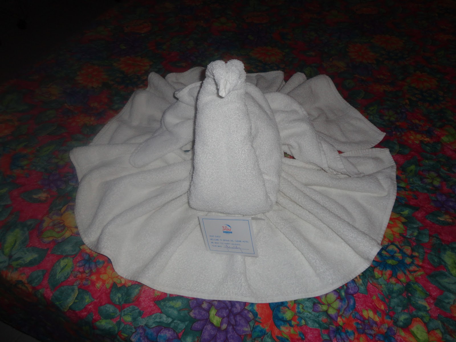 Unstructured Ramblings of My Life... Towel Art