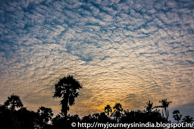 Trichy village scene