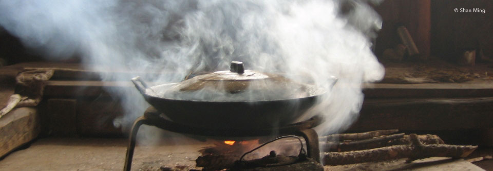 AMBIENT POLLUTION: How harmful is household air pollution?