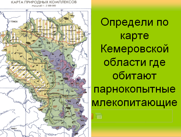 Кемеровская область находится в зоне. Карта природных зон Кемеровской области. Природные зоны Кузбасса. Природные комплексы Кемеровской области. Животные Кемеровской области на карте.