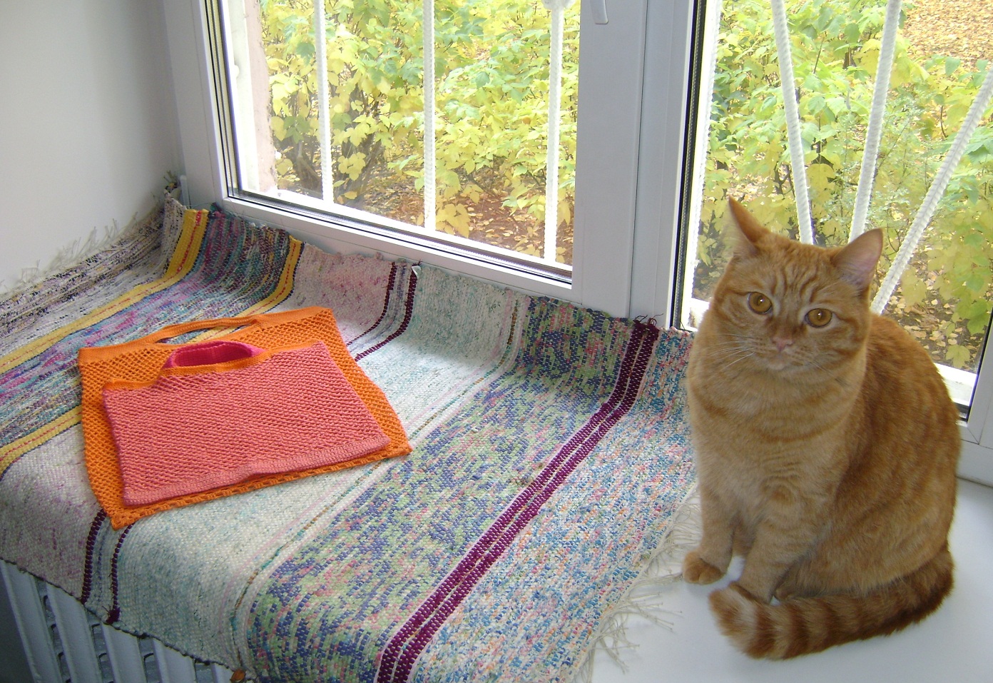 Закрыли кота на балконе зимой