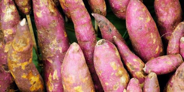 Image result for sweet potatoes during pregnancy