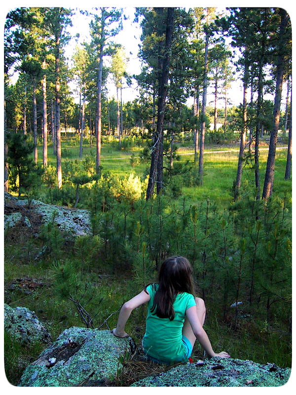 Happy as a Lark A Walk in the Woods