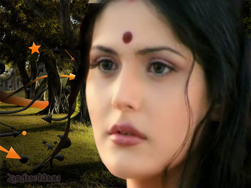 Zarine Khan Wallpapers