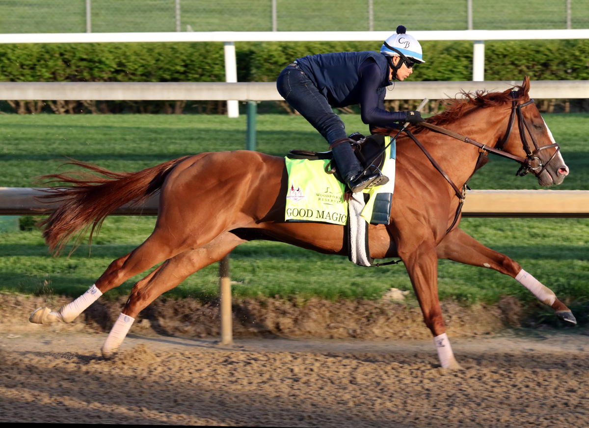 Classic Champion Thoroughbred Profile