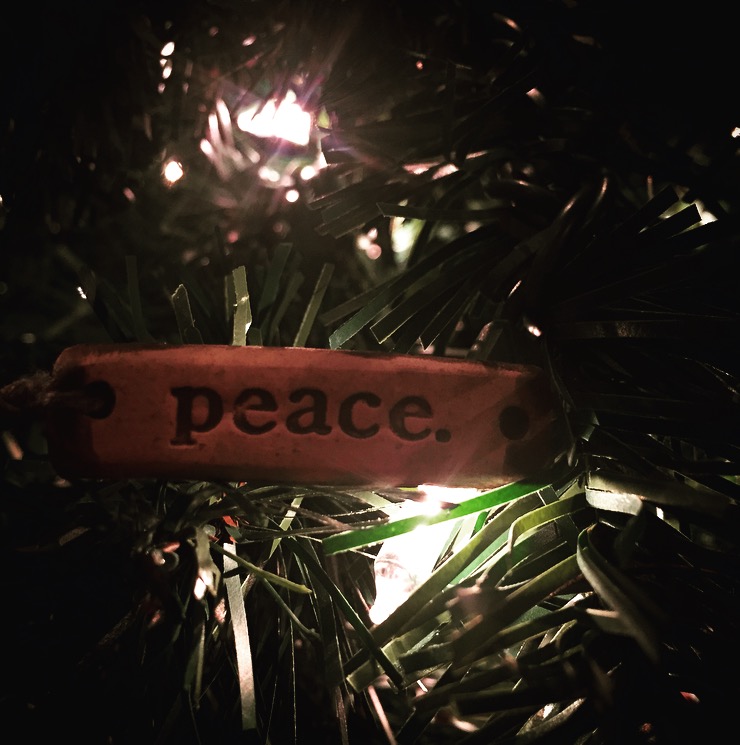 Small Steps Peace Round Two 