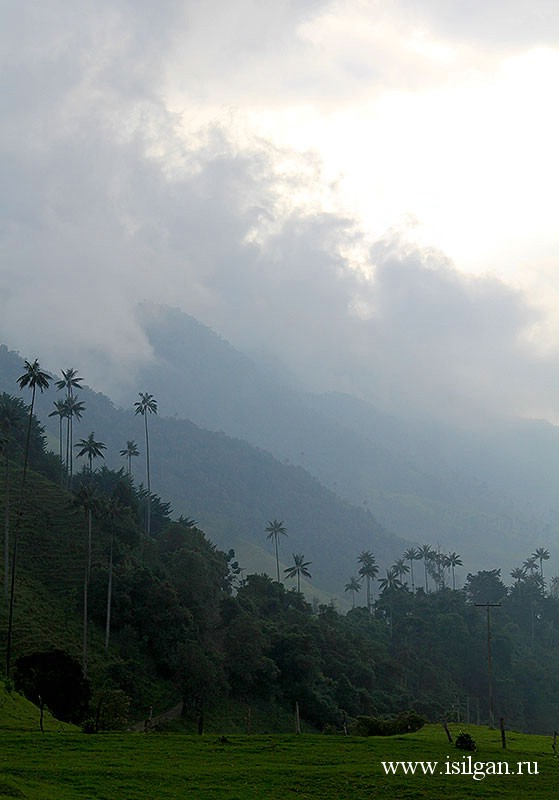 Долина Кокора. Колумбия.