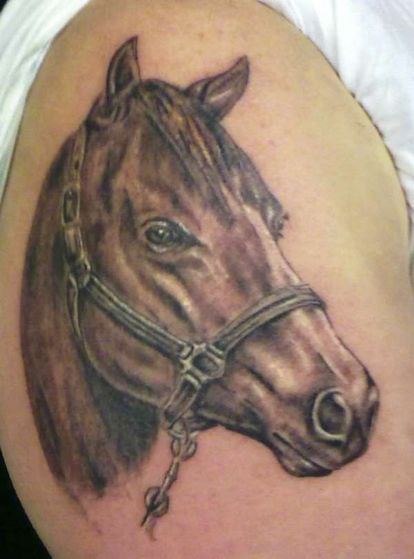 ... horse tattoo 3 horse tattoo 4 horse tattoo 5 horse tattoo horse tattoo
