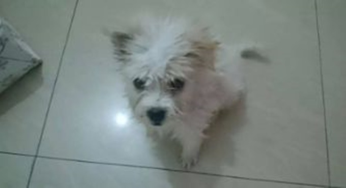 이미지에 대체텍스트 속성이 없습니다; 파일명은 K-004.jpg 입니다.