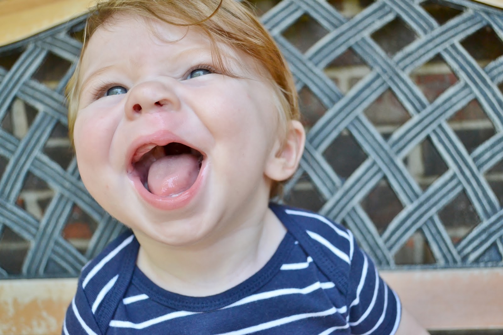 Our Journey with Judah