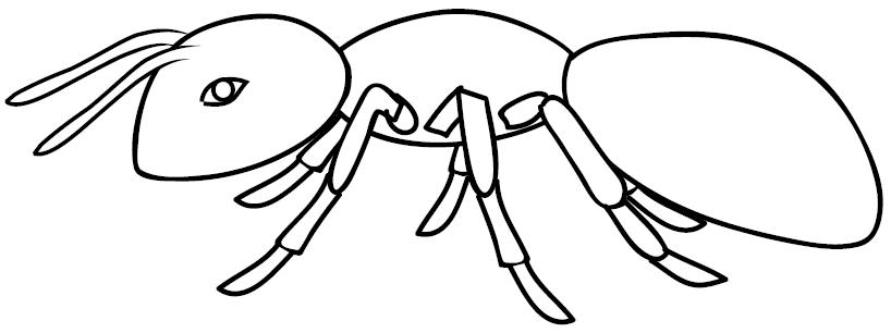 RECURSOS y ACTIVIDADES para Educación Infantil: Dibujos para colorear