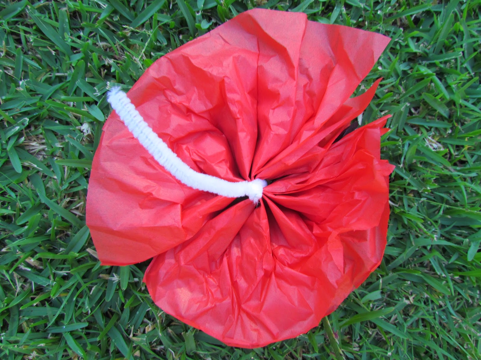 Living by the Guide Law Tissue paper poppies