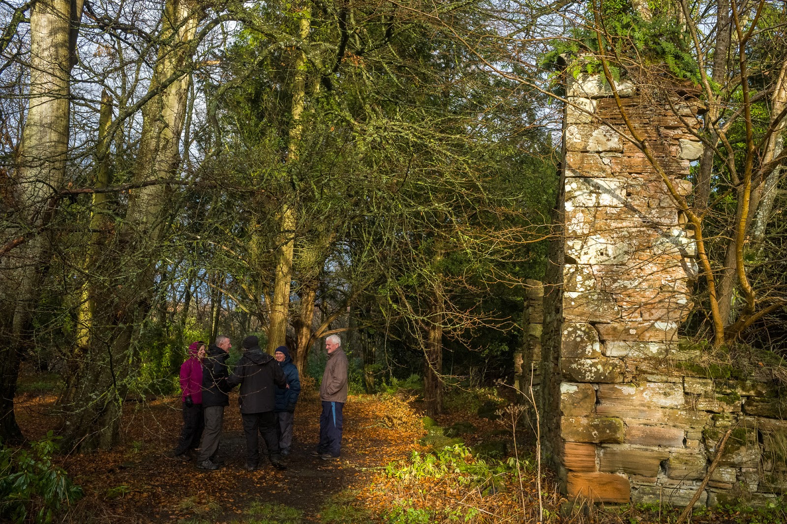 LesT Photos and News Walking Group Boswell House Estate