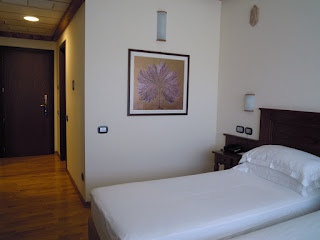 Serravalle: Palace Hotel