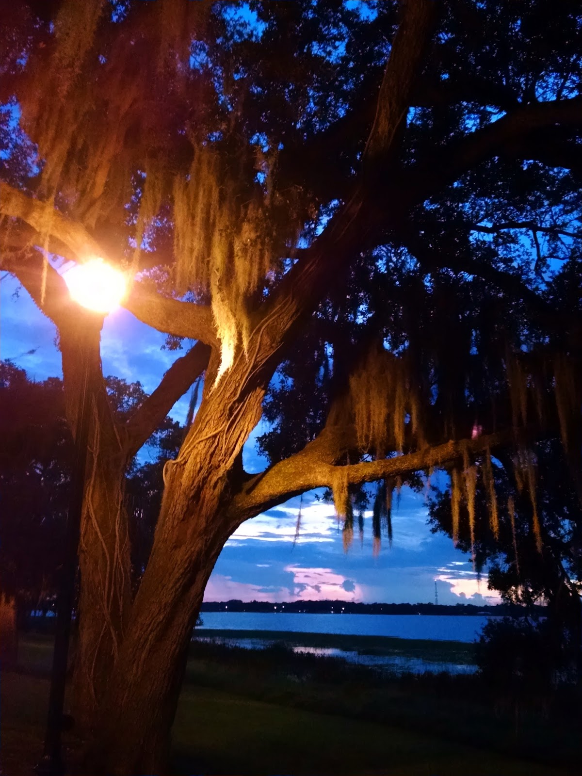 Lake Howard, Winter Haven, Florida