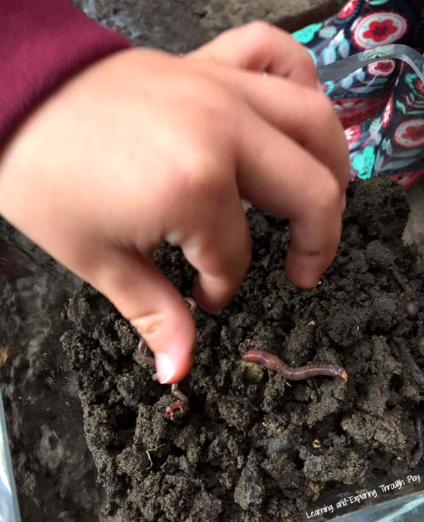 Worm Theme Activities - Gardening Topic for Early Years