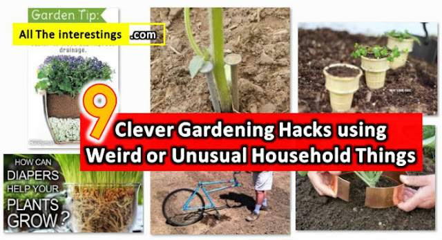 9 unusual things that can actually be quite helpful in the garden, Gardening Hacks, Best out of waste, Recycle unused things into useful garden tools, Outdoor and indoor vegetable gardening hacks