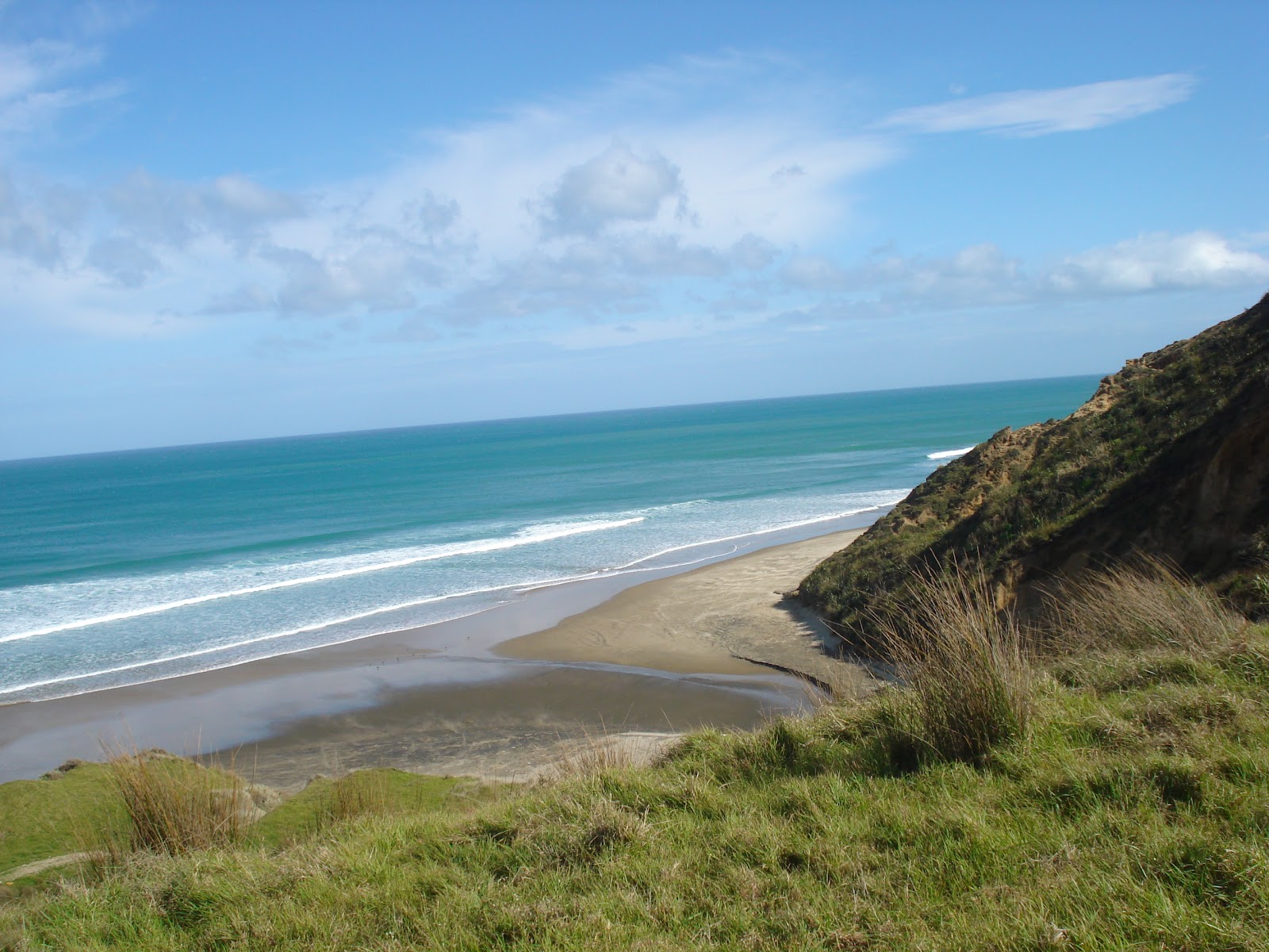 First impressions of Dargaville: