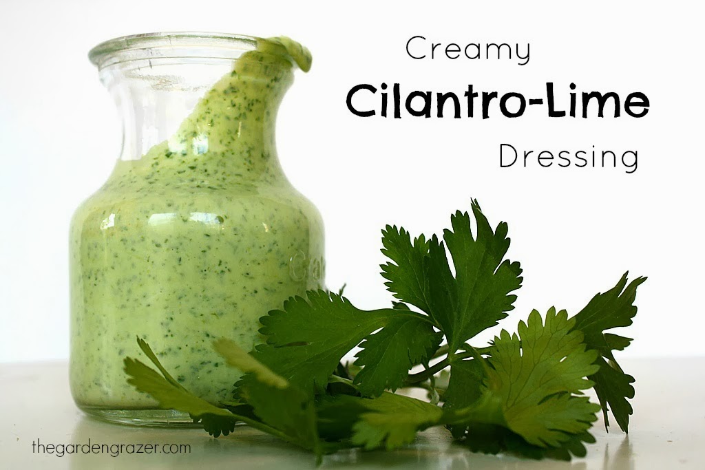 The Garden Grazer Creamy CilantroLime Dressing