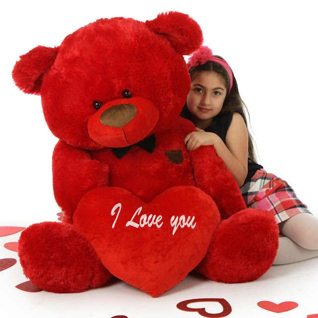 Happy Valentines Day Teddy Bear Pictures