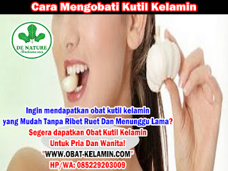Obat Kutil Kelamin Obat Kutil Kelamin