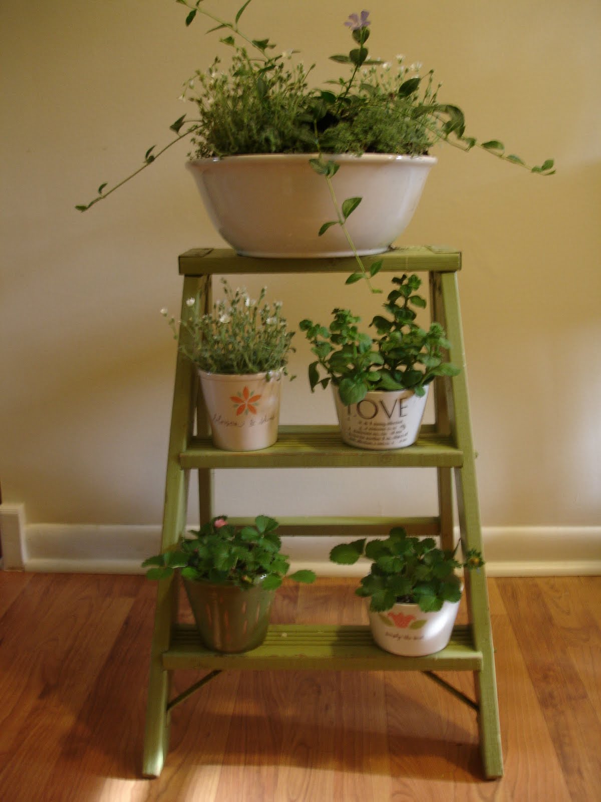 Don't Disturb This Groove Plants Around the House