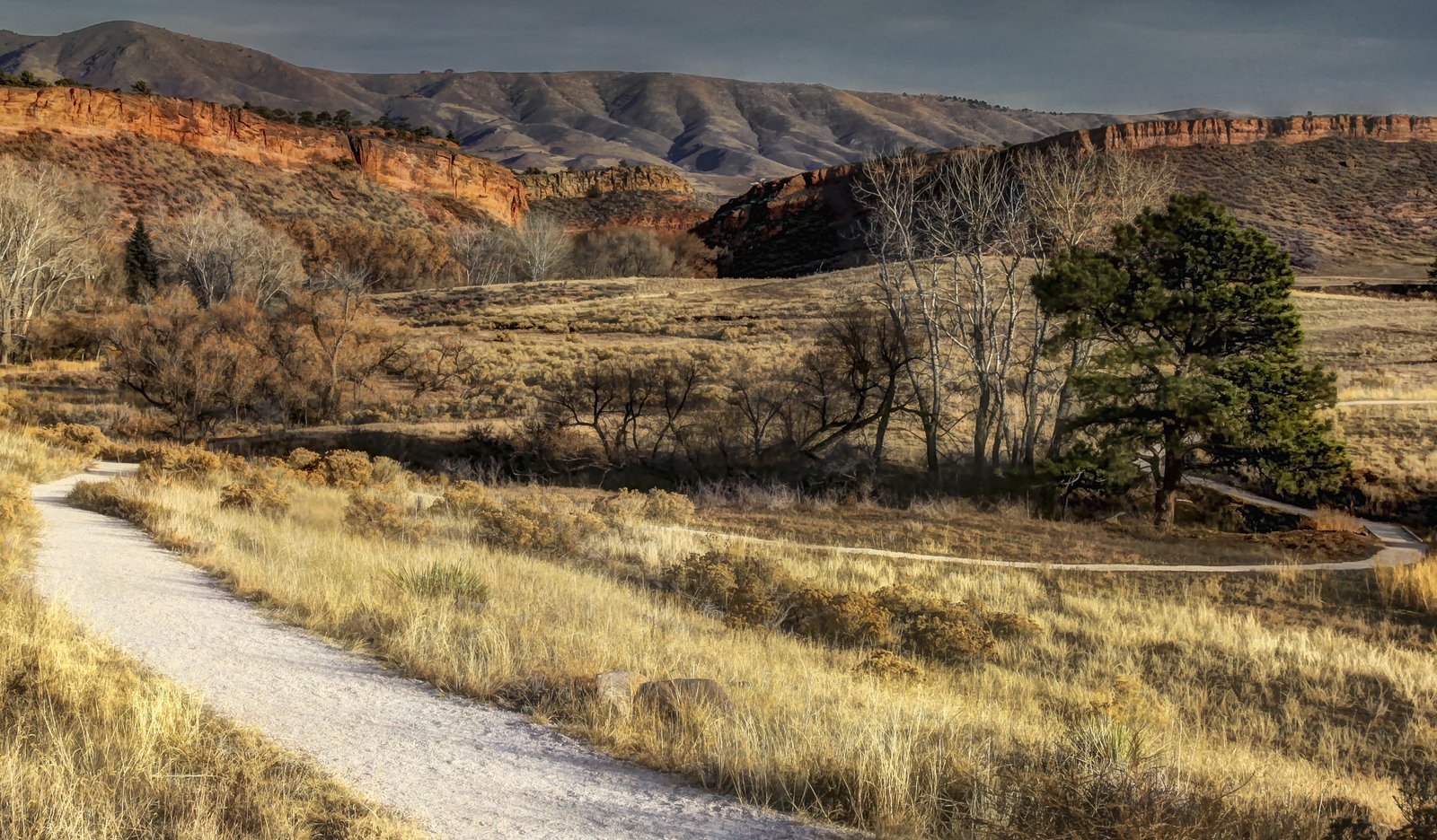 RonNewby Bobcat Ridge Natural Area Masonville Colorado Nov 30, 2012