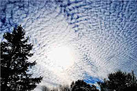 Awan Altocumulus (A cu)