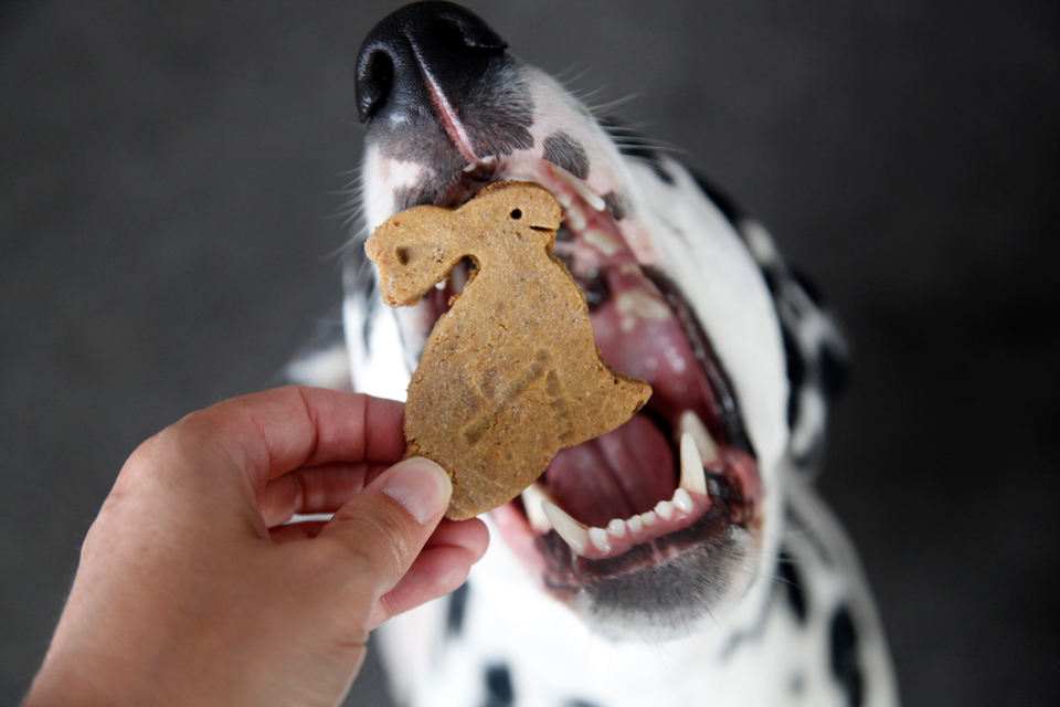 Dalmatian DIY {RECIPE} Bacon Bunny and Bones Easter Dog Treats