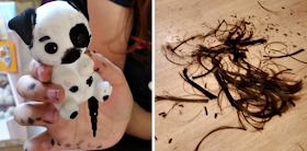 A little toy dog my youngest had decorated and a pile of hair on the floor from a trim