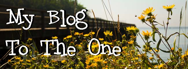 My Blog to The One
