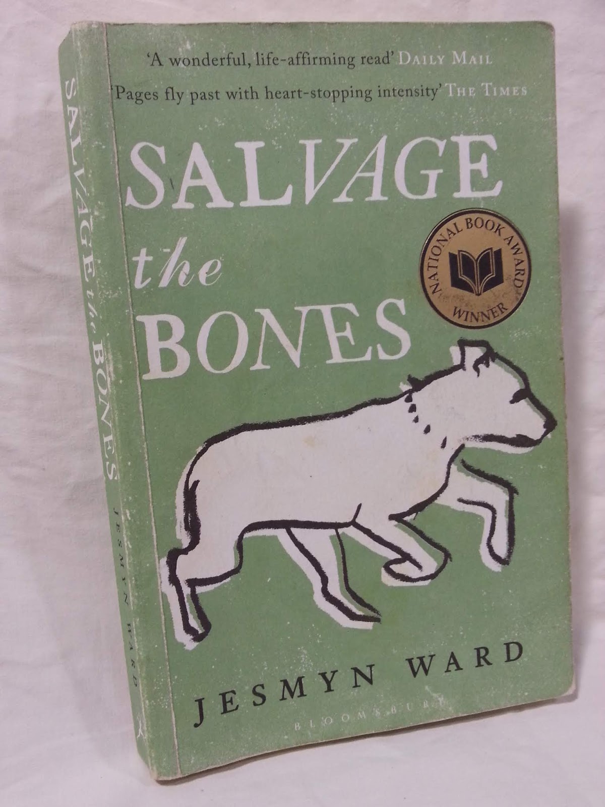 salvage the bones by jesmyn ward