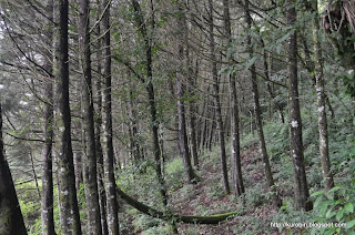 Donde el viento me llevó Volcán Alzatate