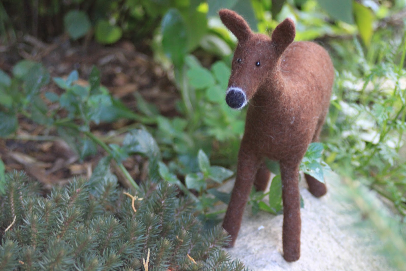 Filzkram Rehe im Garten?