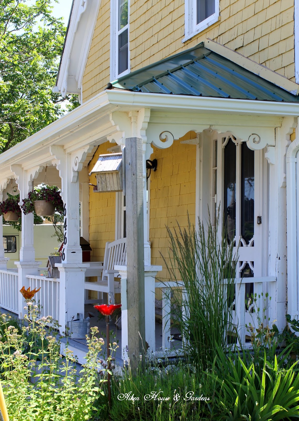 Aiken House & Gardens Sunshine Yellows