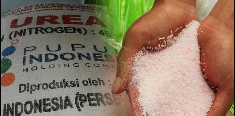 Pengertian dan Komposisi Pupuk Urea Pengertian dan Komposisi Pupuk Urea