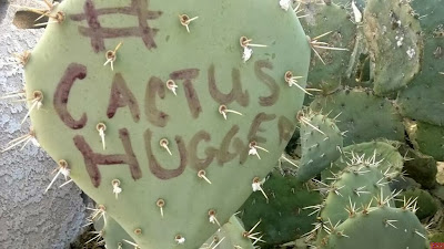 Hashtags and Phrases on Cactus Pads