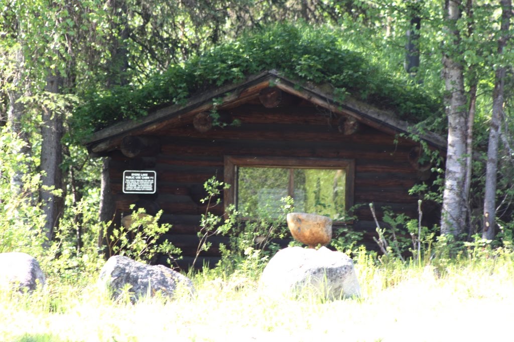 each day an adventure in alaska halibut cove...act 5 plus more byers lake