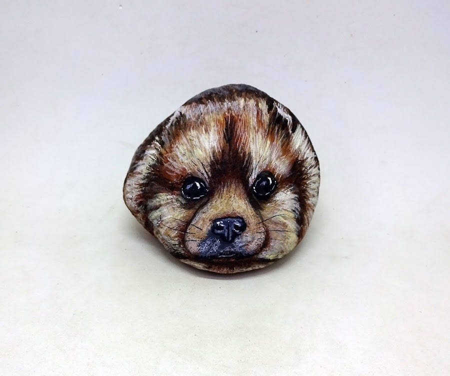 COMO PINTAR PIEDRAS CON RAZA POMERANIA PASO A PASO #pintarpiedras