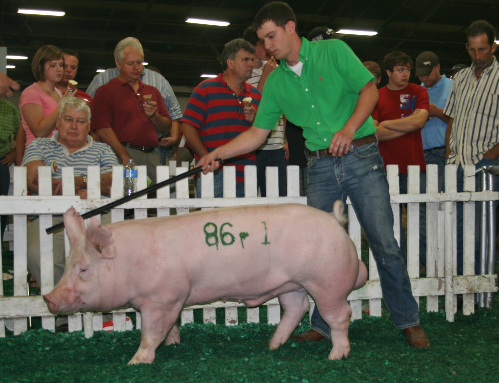 National Swine Registry 2011 STC Yorkshire Boar & Gilt Sale results