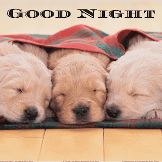 Beautiful Good Night Images For Whatsapp Beautiful Good Night Images For Whatsapp
