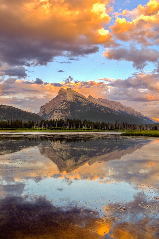 All Images Wallpapers: Best Iphone 4 Wallpapers