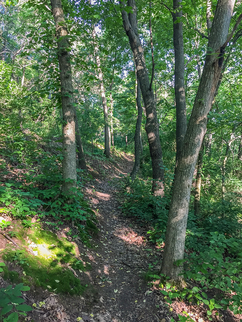 Ice Age Trail Montrose Segment